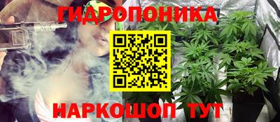 тгк Бийск