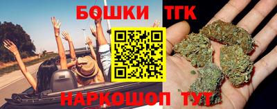 тгк Бийск