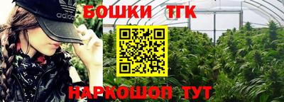 тгк Бийск