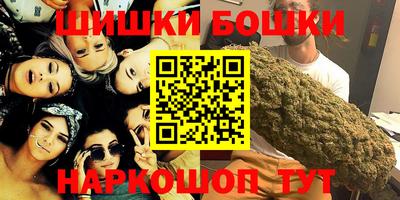 тгк Бийск