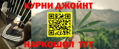 тгк Бийск