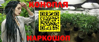 мяу мяу мука Беслан
