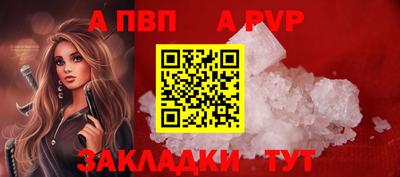тгк Бийск