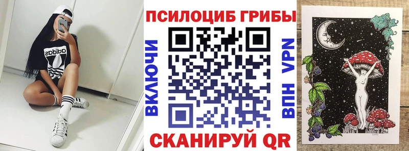 Псилоцибиновые грибы мицелий  купить наркотик  hydra зеркало  Саки 
